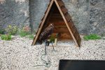 PICTURES/Belgium - Bouillon Castle/t_Birds1.JPG